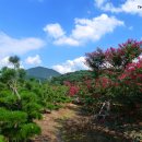 지산조경 이미지