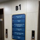 [시흥] 가성비 오션뷰 호캉스 호텔 코스타 거북섬 | 프리미어 트윈 오션뷰 후기