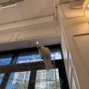 하서로483번길R | 광주실내 아이와가볼만한곳 앵무새카페 리프패럿양산점 후기