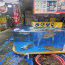 장도포대지 | 소래포구 제철 회 구매 : 장대포대지 철길 볼거리