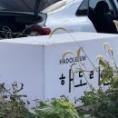 하도리움 제주독채 감성숙소 이미지