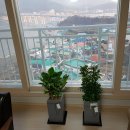 장평리라인 이미지