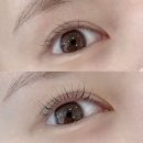 분당-360 | 분당 서현 글로우헤나뷰티 속눈썹펌 솔직 후기