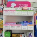 꿈나무약국 이미지