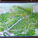 절물자연휴양림 이미지