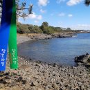 버스정류소_공천포 이미지