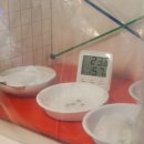 유주농장 이미지