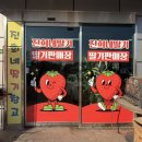 고은농장 | [청주] 딸기 농장부터 딸기 체험까지 가능한 ‘진희네딸기’