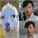 도도한헤어