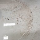 크리닝 114 이미지