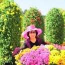 임실치즈테마파크5 이미지