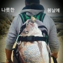 노래랑술이랑