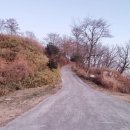 호명해와달 이미지