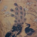 송죽화원 - 양양군 양양로 101 | 공작새