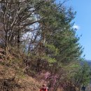 보성강2 이미지