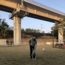 (유)도도랑