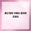 딜리버즈뷰티