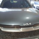 박 CARS 이미지