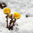 양지2 발전소 이미지