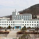 소망애견종합병원 이미지