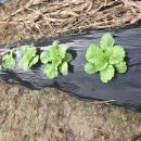 한결농장 이미지