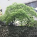 월드골프클럽 이미지