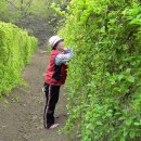 이화숙농장 이미지