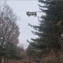 덕포진 | 김포평화누리길로 이어지는 김포 추천 여행지 덕포진