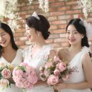 로얄스튜디오 이미지