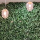 울진봄날애햇살 이미지