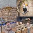 신원동 울타리작은도서관 | 서울 겨울에 실내 아이랑 가볼만한곳 놀거리 BEST 3