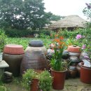 앵두나무집민박 이미지