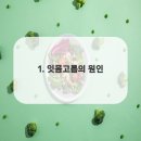 더라이프치과의원 이미지