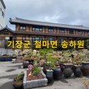 송하원 이미지