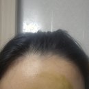 에이티오 | 에이티오 퓨어 말차 클렌징 파우더 말차파우더워시