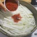 김하진 카카오 검색결과