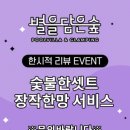 별을 담은 숲 이미지