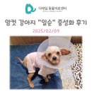 개봉동물병원 이미지
