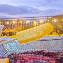 엔703펜션 이미지