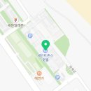 강릉 반려견 호텔 유치원 로젯펫살롱 세인트존스호텔점 이미지