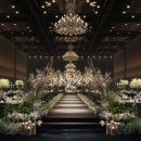 웨스턴베니비스 이미지