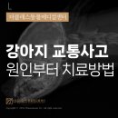 가야메디컬센터 이미지