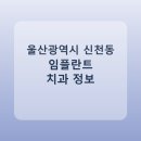 울산광역시 | 울산광역시 신천동 임플란트 비용·가격·후기 총정리