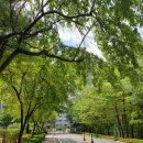 클링클링세탁소 이미지