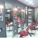 프로헤어 이미지