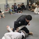 신촌주짓수 | 종각 광화문 을지로 직장인 운동 종로주짓수 주짓수벨트 승급식 & 신촌주짓수 정창국 관장님 세미나 후기