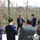 장성종합시장 이미지