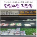 카이 호스텔 | 제주도 서부 여행 숙소 협재 카이 리조트 추천 &amp; 한림수협 직판 위판장 한수위 마트