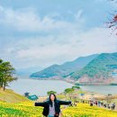 까치랜드 이미지