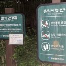 찾아가는 힐링문화생활 | 서울 도심 힐링 명소! 용산가족공원 황토 맨발걷기 후기, 주차장 &amp; 가는 법까지 완벽 정리